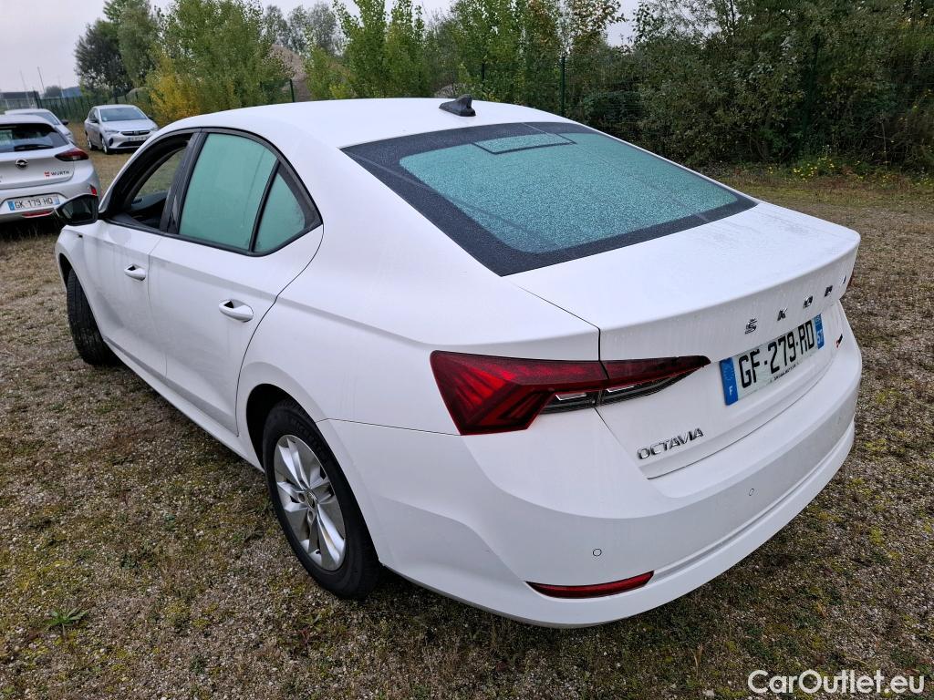 Skoda  Octavia  Berline Business 2.0 TDI 115CV BVM6 E6d #2