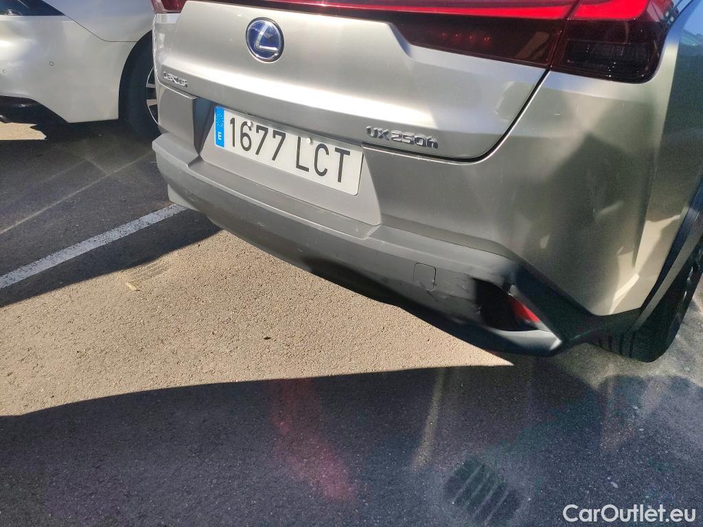  Lexus  UX LEXUS  / 2018 / 5P / todoterreno 2.0 250h Business Navigation (CX) #24