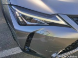  Lexus  UX LEXUS  / 2018 / 5P / todoterreno 2.0 250h Business Navigation (CX) #16