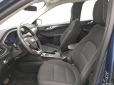  Ford  Kuga  Hybrid Titanium 2.5 190CV BVA6 E6dT #10