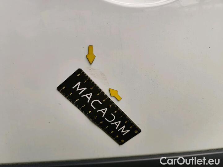 Renault  Kangoo CAB APPRO GD CONFORT - BLUE DCI 95 #19