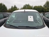 Renault  Kangoo GRAND CONFORT - BLUE DCI 80 #80