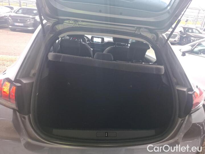 Peugeot  208 1.5 BLUEHDI 100 S&S ACTIVE BUS #13