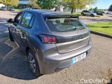 Peugeot  208 1.5 BLUEHDI 100 S&S ACTIVE BUS #2