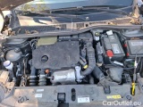 Peugeot  208 1.5 BLUEHDI 100 S&S ACTIVE BUS #28