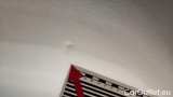 Volkswagen  Passat 2.0 TDI SCR DSG Business Variant #32