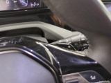 Peugeot  308  Active Pack 1.5 HDi 130CV BVA8 E6d #13