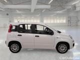 Fiat  Panda FIAT  / 2011 / 5P / BERLINA 1.0 FIREFLY 70CV SeS HYBRID #7