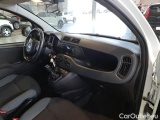 Fiat  Panda FIAT  / 2011 / 5P / BERLINA 1.2 69CV SeS E6D-TEMP EASY #113