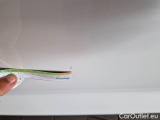 Audi  Q5 AUDI  / 2020 / 5P / SUV 35 TDI BUSINESS ADVANCED S TRONIC #41