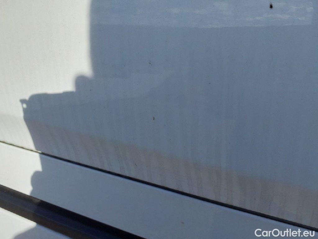 Ford  Transit  Custom Kasten 300 L2 Trend 2.0 TDCi 77KW MT6 E6d #31