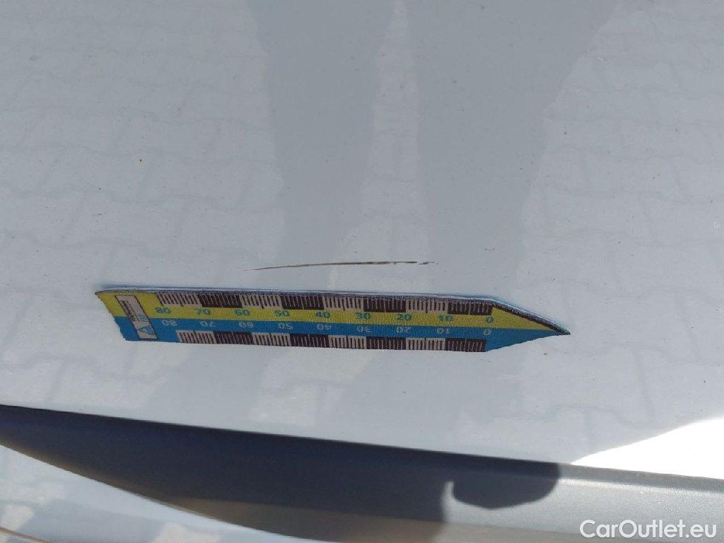 Ford  Transit  Custom Kasten 300 L2 Trend 2.0 TDCi 77KW MT6 E6d #36