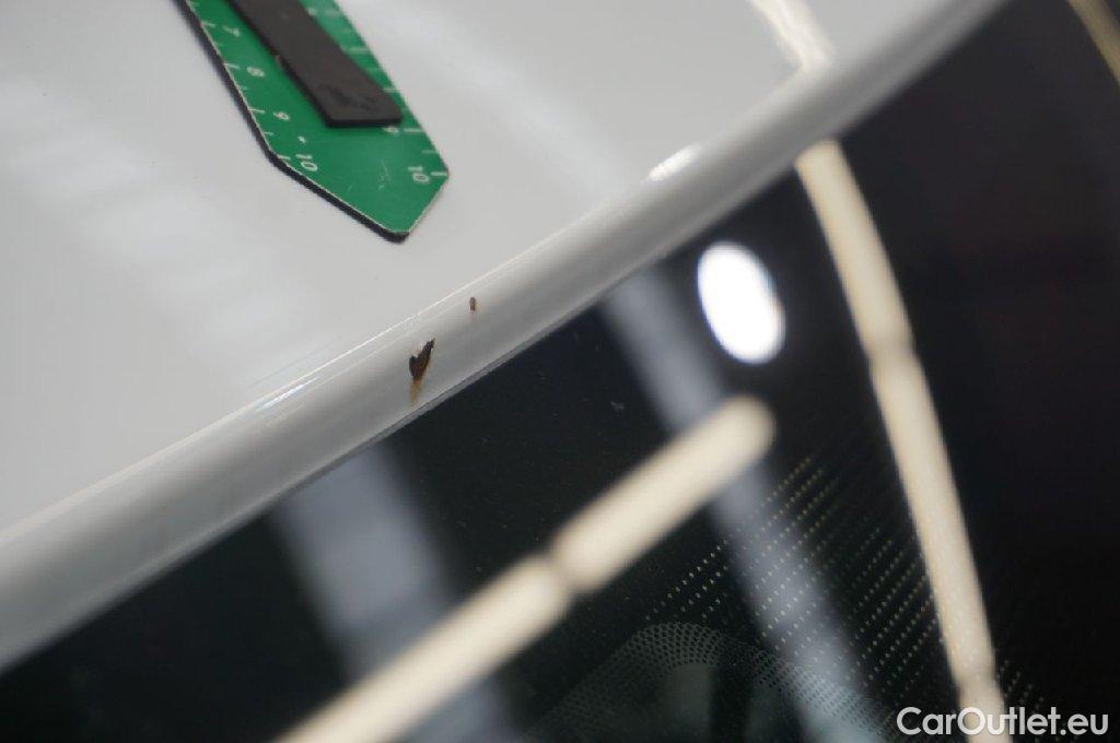 Ford  Transit  Custom Kasten 280 L1 Trend TDCi 96KW MT6 E6d #19