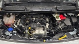 Ford  Transit Connect  Kasten lang Trend 1.5 EcoBlue 88KW AT8 E6dT #11