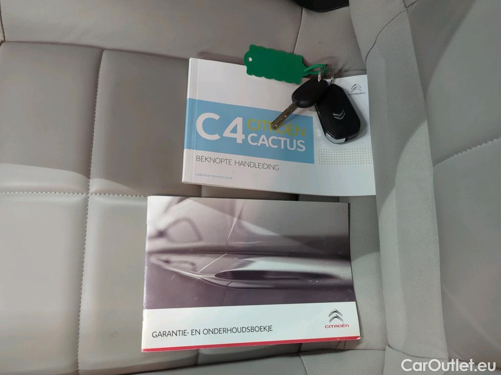 Citroen  C4 Cactus Citroën  PureTech 110 S&S Business 5d #4