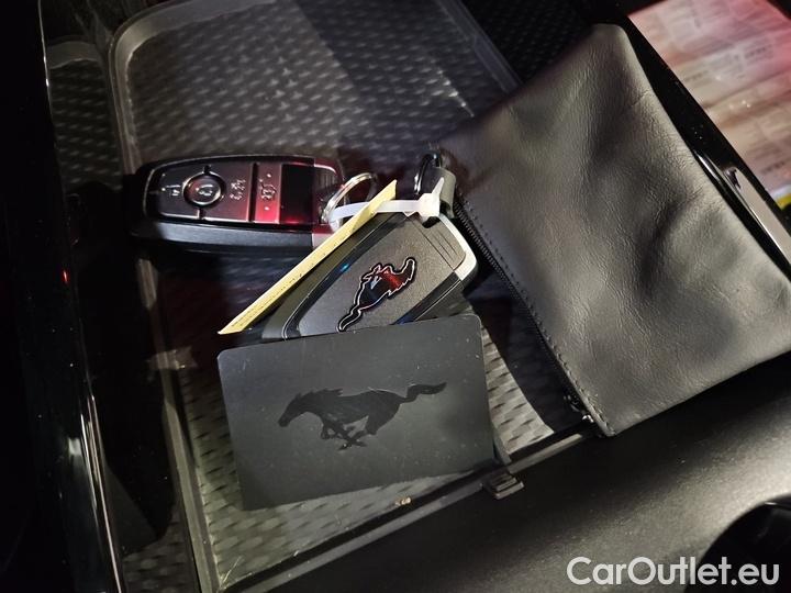 Ford  Mustang 99 kWh AWD #12