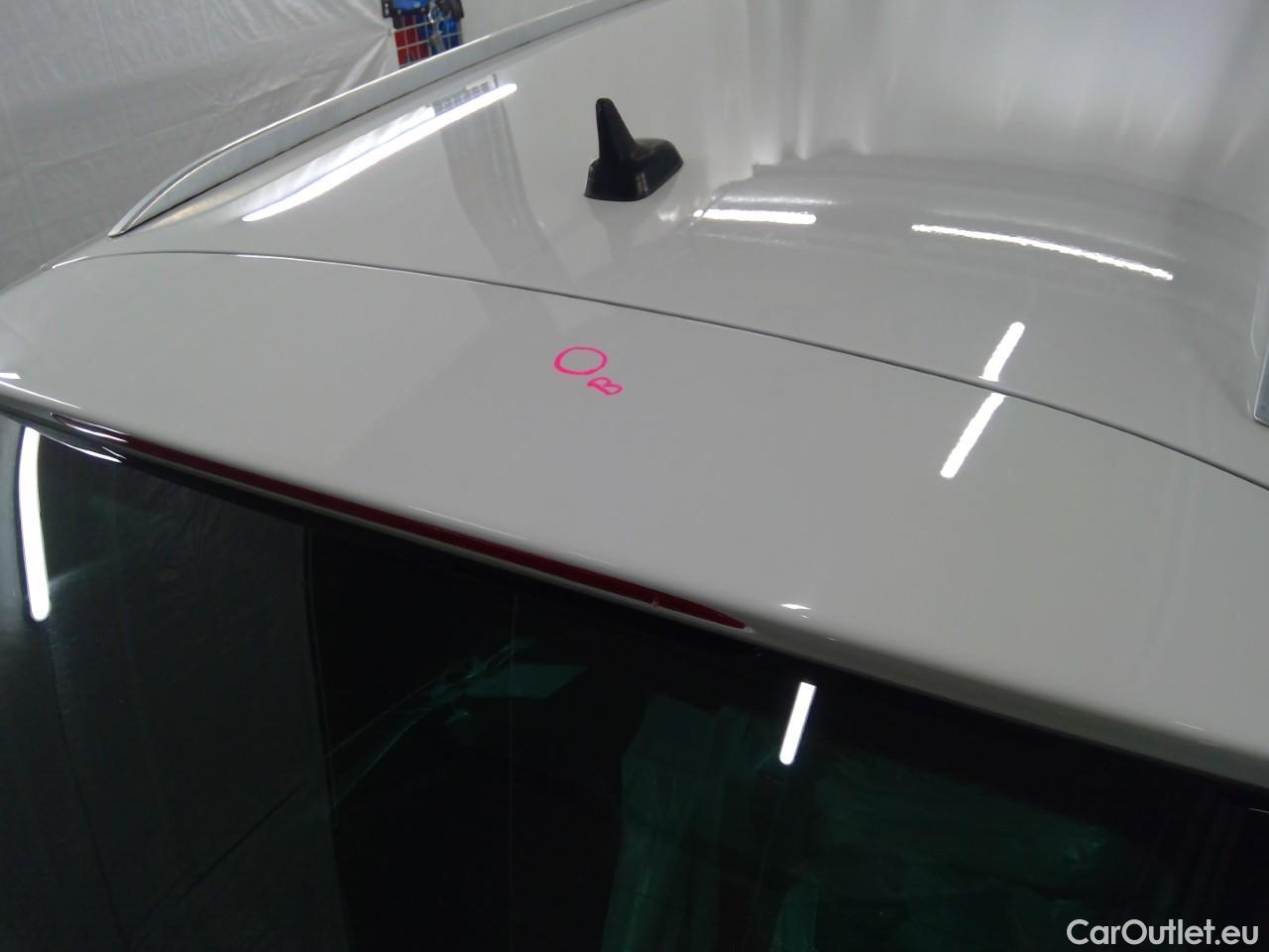 Volkswagen  Passat Pass.All.TDI 190 4M Ex.B.E.Aut #27