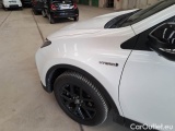Toyota  RAV4 TOYOTA  / 2015 / 5P / CROSSOVER 2.5 HV 197CV E-CVT DYNAMIC+ 4WD #39