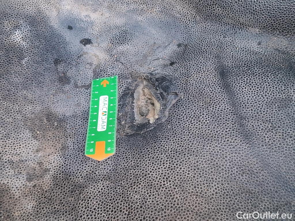 Ford  Transit Connect  Fourgon Trend 1.5 120CV BVA8 #12