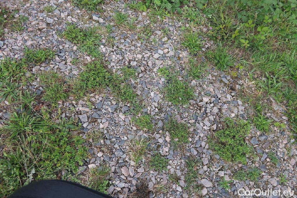 KIA  Niro  Spirit Plug-in Hybrid 1.6 104KW AT6 E6d #38