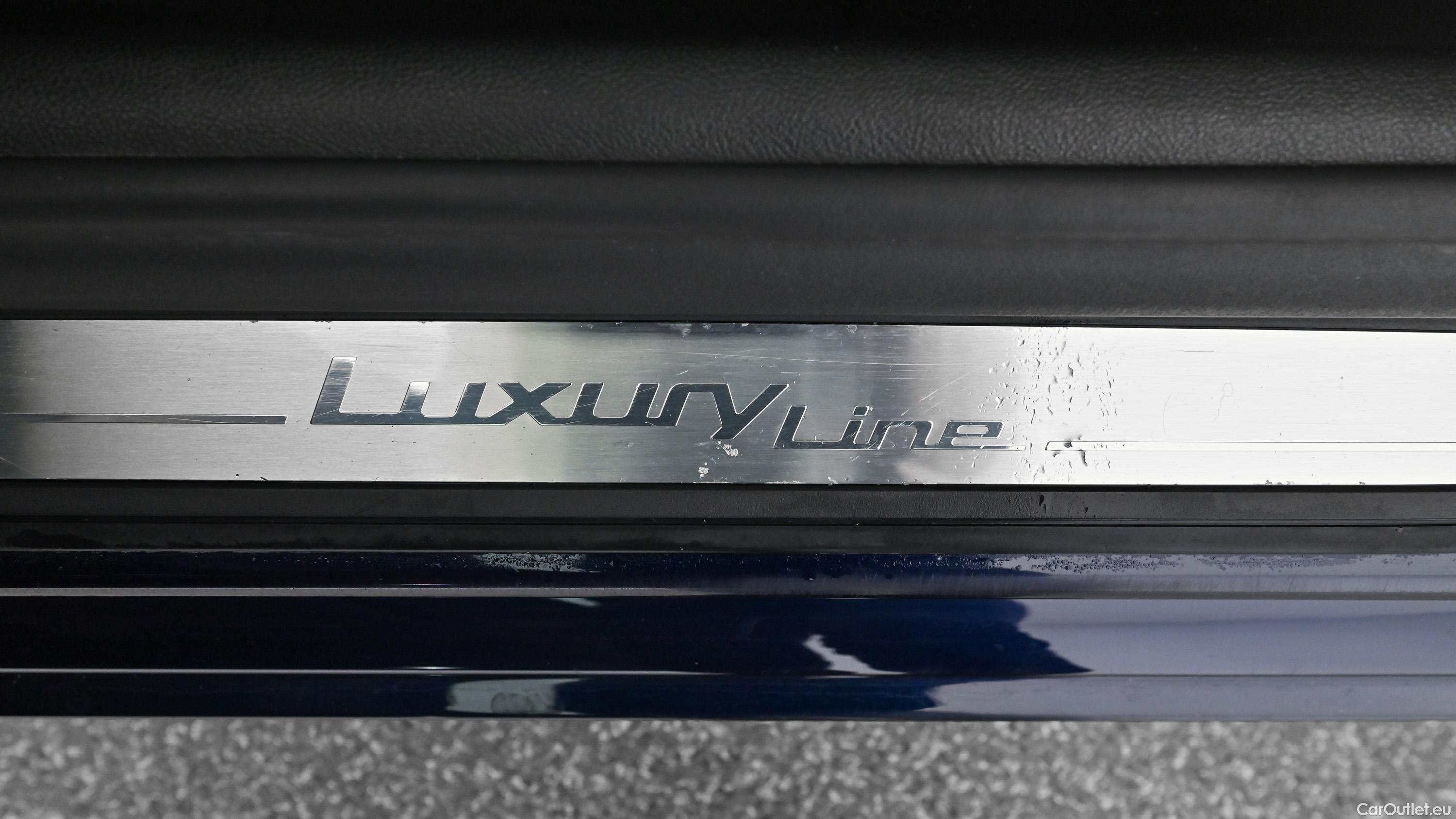 Bmw  Serie 5 xDrive Touring Aut. (G31) Luxury Line Automatic Petrol/Electric  26 #28