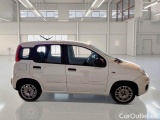  Fiat  Panda FIAT  / 2011 / 5P / BERLINA 1.0 70CV SeS HYBRID #7