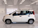  Fiat  Panda FIAT  / 2011 / 5P / BERLINA 1.0 70CV SeS HYBRID #8