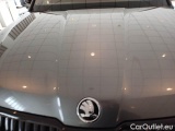 Skoda  Kodiaq SKODA  / 2021 / 5P / SUV 2.0 TDI 110KW SPORTLINE DSG 7P #32