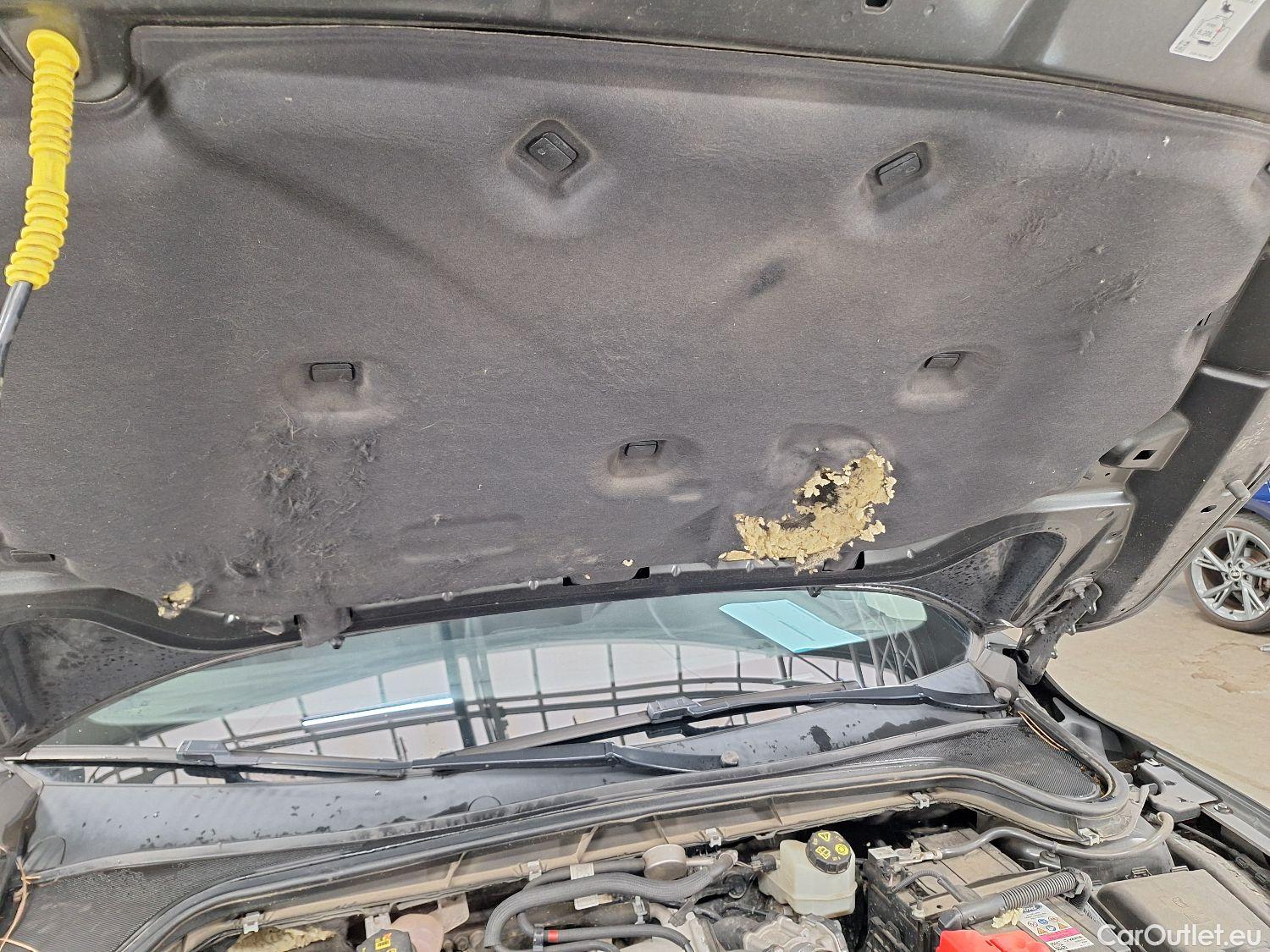 Ford  Focus Ford,  SW '18, Ford  Clipper 1.5 EcoBlue 88kW Connected 5d #22