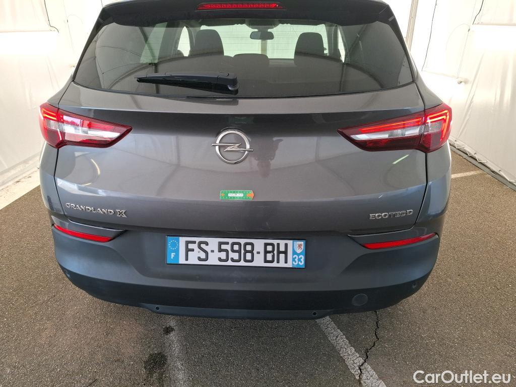  Opel   Grandland X Grandland X Business Edition 1.5 130CV BVM6 E6dT #19