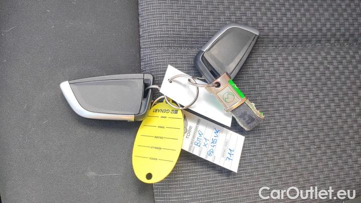 Bmw  X1 sDrive 20d Business Advantage automatico #17