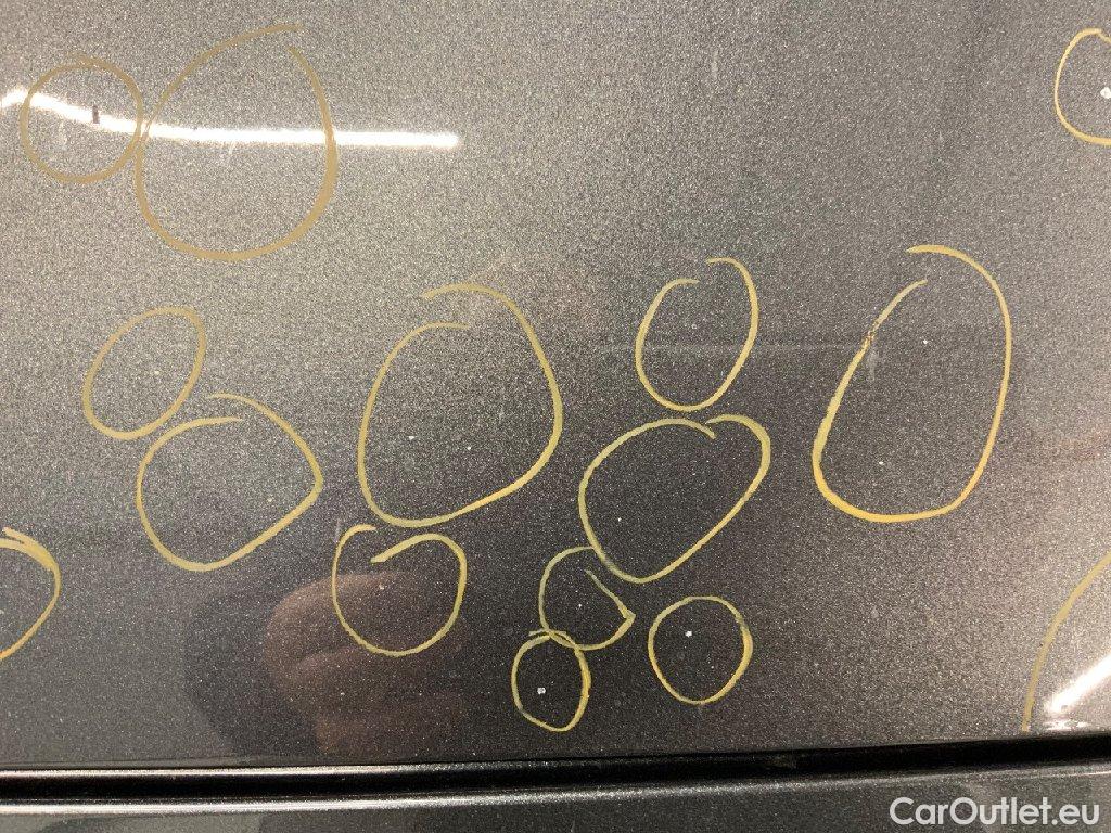 Ford  S-Max  ST-Line AWD 2.0 EcoBlue 140KW AT8 E6dT #19