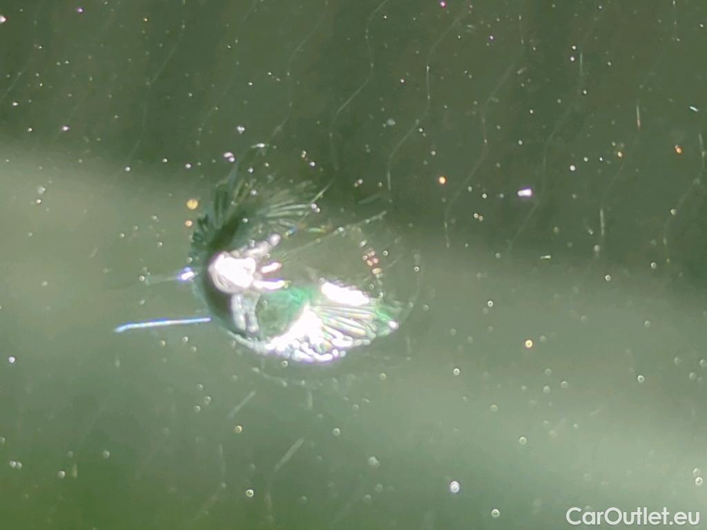 Ford  Focus  Turnier Titanium 2.0 EcoBlue 110KW AT8 E6dT #31