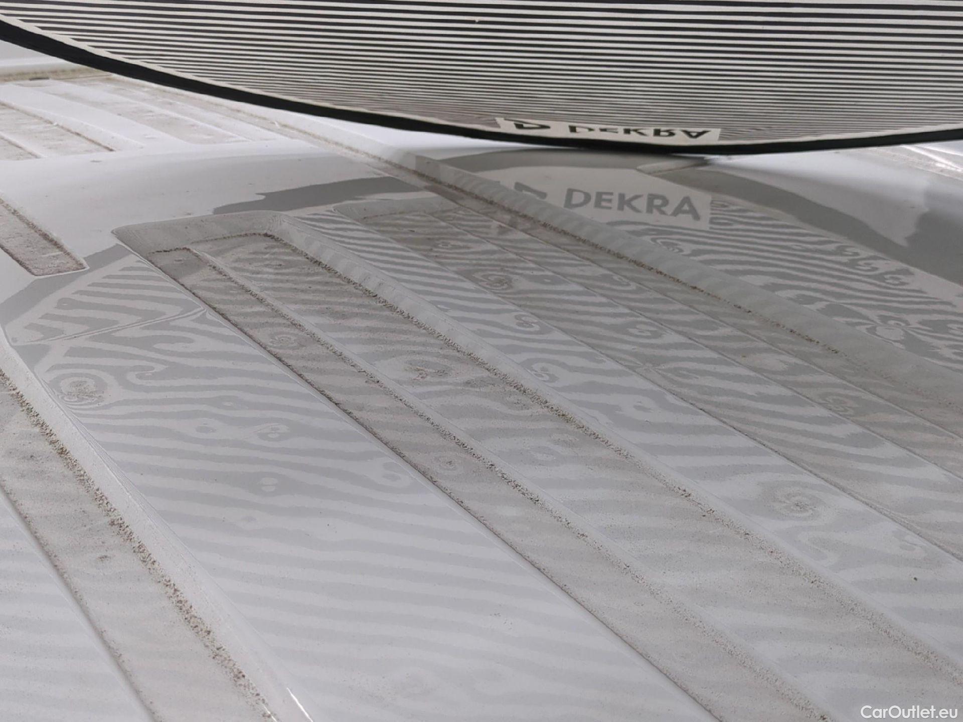 Renault  Trafic  Fourgon L2H1 3T Grand Confort 2.0 dCi 130CV BVM6 E6d #31