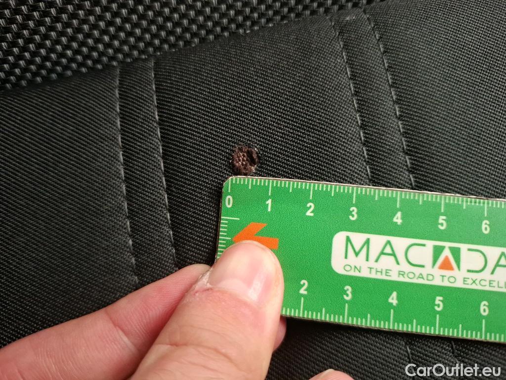 Skoda  Octavia  Break Business 2.0 TDI 150CV BVA7 E6dT #15