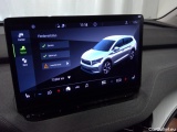 Skoda  ENYAQ  iV80 5d #6