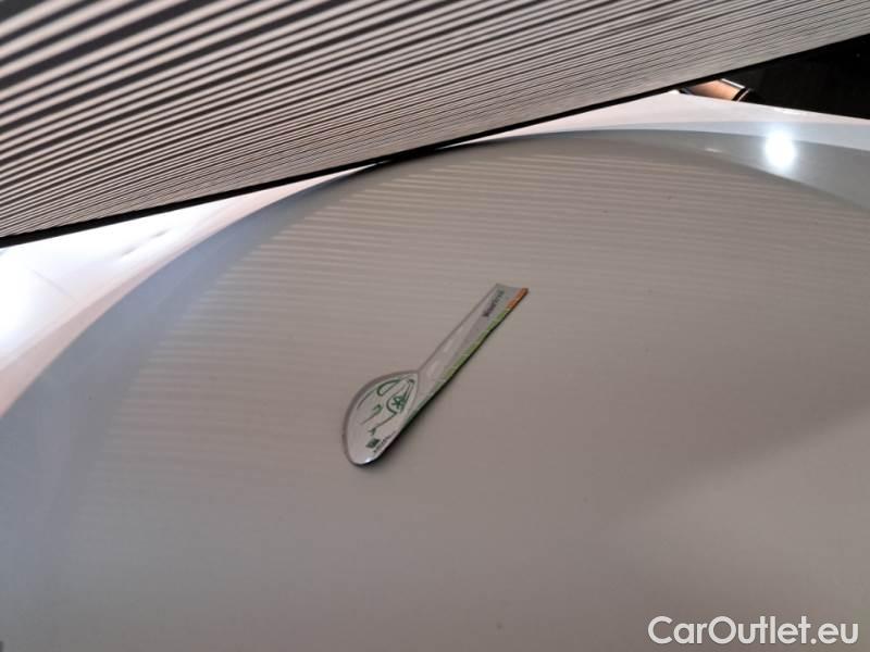 Fiat  Doblo FIAT DOBLÒ CARGO / 2014 / 4P / VETT. FURGONATA CH1 LOUNGE 1.3 MJET 95CV E6D SeS #34