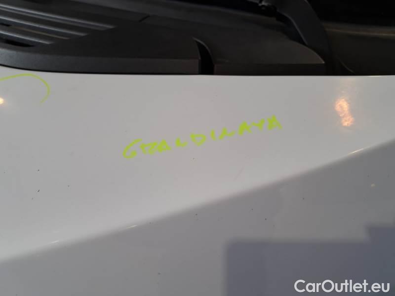 Fiat  Ducato FIAT  / 2014 / 4P / FURGONE 35 MH1 2.3 MULTIJET 140CV E6D-TEMP #30