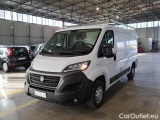 Fiat  Ducato FIAT  / 2014 / 4P / FURGONE 35 MH1 2.3 MULTIJET 140CV E6D-TEMP #2