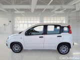  Fiat  Panda FIAT  / 2012 / 5P / BERLINA 1.3 MJT 80 CV VAN EURO6 SeS 4 POSTI EASY #8
