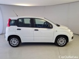  Fiat  Panda FIAT  / 2012 / 5P / BERLINA 1.2 69 CV VAN EURO6D 4 POSTI EASY #7