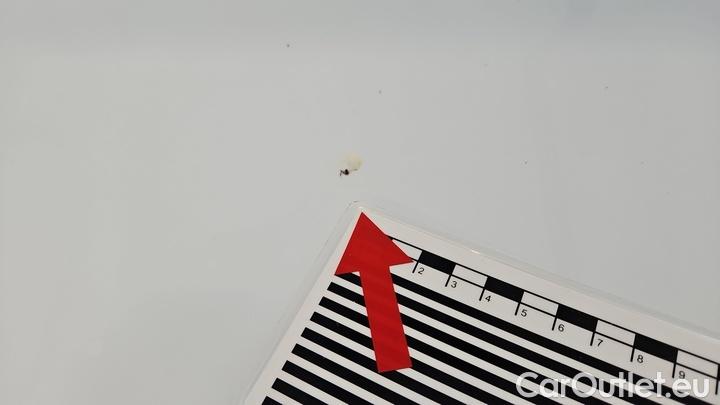 Ford  Kuga 2.0 EcoBlue Auto Titanium #17