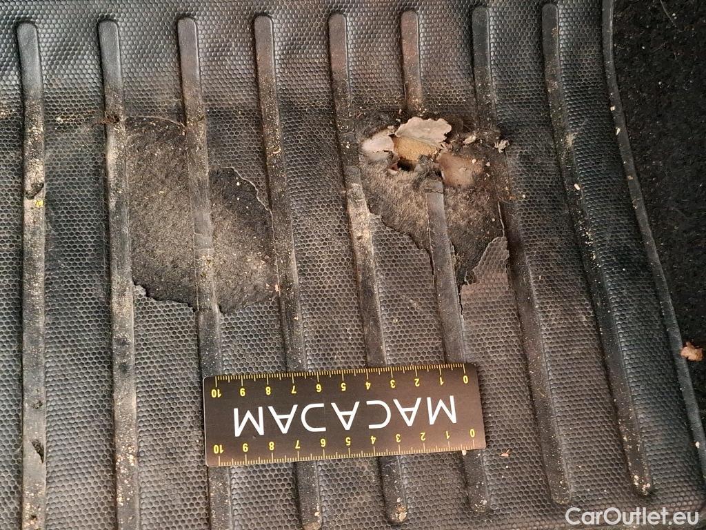 Peugeot  2008  Active Business 1.2 PureTech 100CV BVM6 E6d #8