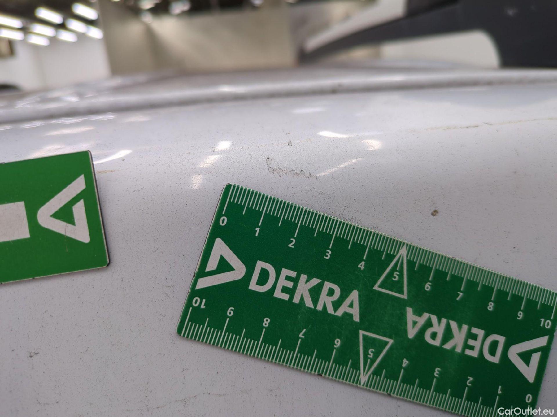 Renault  Kangoo  Business 1.5 dCi 95CV BVM6 E6dT #79