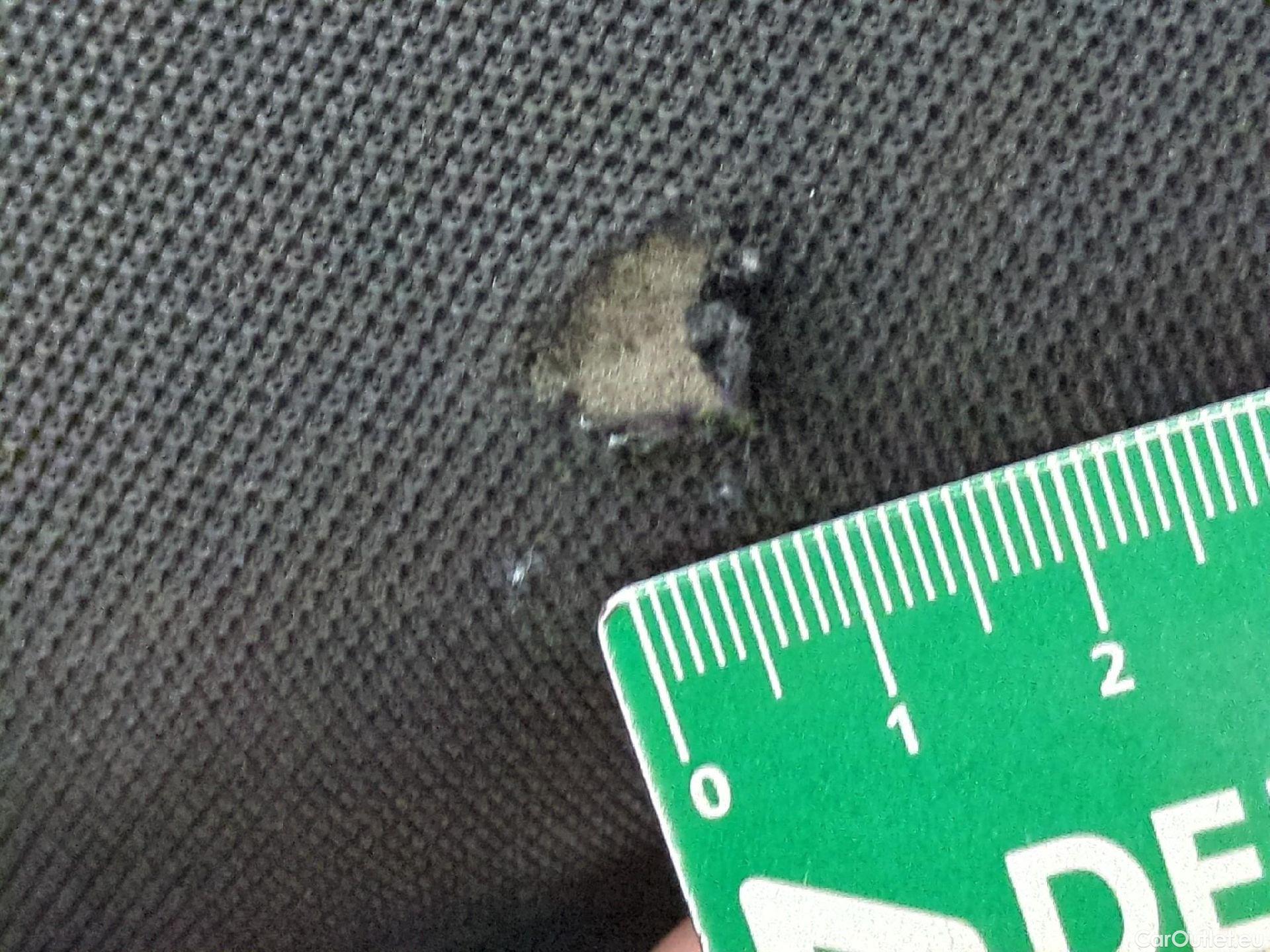 Renault  Kangoo  Business 1.5 dCi 95CV BVM6 E6dT #5