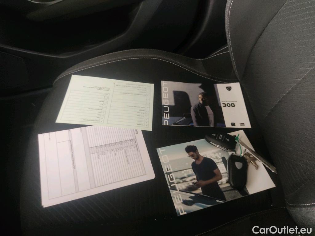 Peugeot  308 PEUGEOT  / 2021 / 5P / familiar SW Active Pack BlueHDi 130 S&S MAN #9