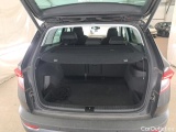  Skoda  Karoq  Business 2.0 TDI 115CV BVA7 E6d #10