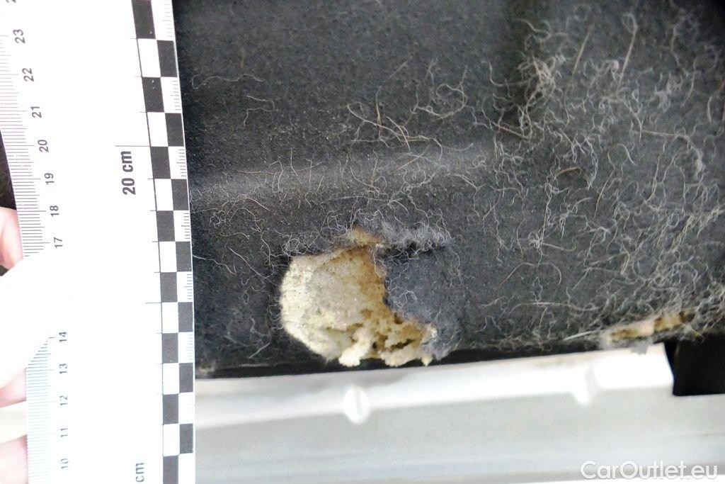 Ford  Focus  Turnier Cool & Connect 1.5 EcoBlue 88KW AT8 E6dT #42