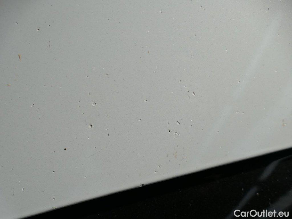 Skoda  Octavia  Combi RS 2.0 TDI 147KW AT7 E6d #31