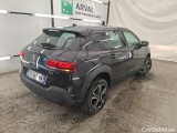C4 Cactus